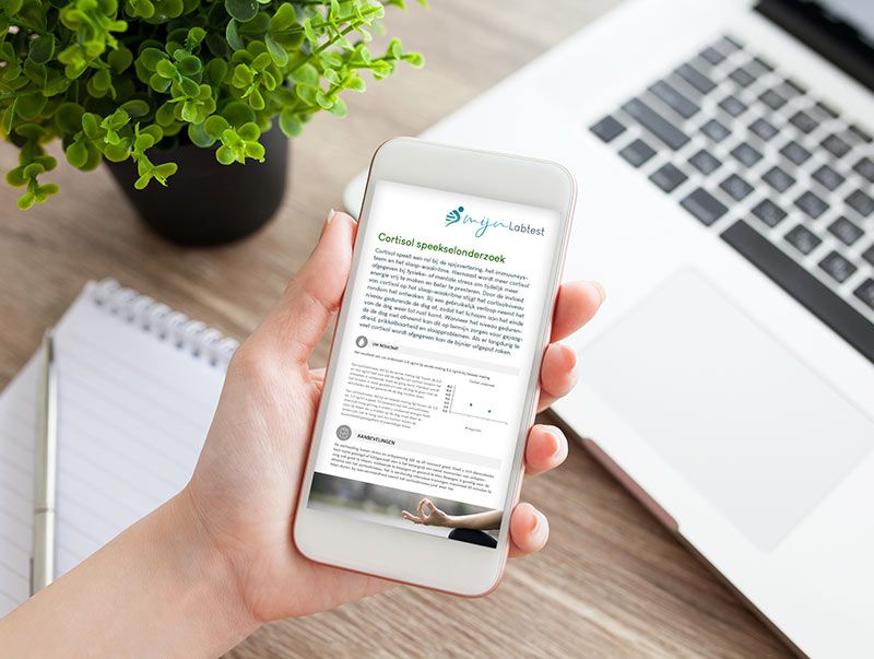 Cortisol DHEA test uitslag - Na de test kun je direct aan de slag met uitleg en tips uit het rapport 