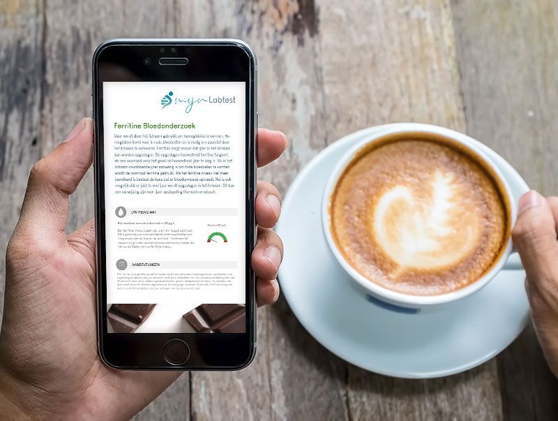 De uitslag van de Ferritine test - Met illustraties en grafieken verduidelijken we de uitslag 