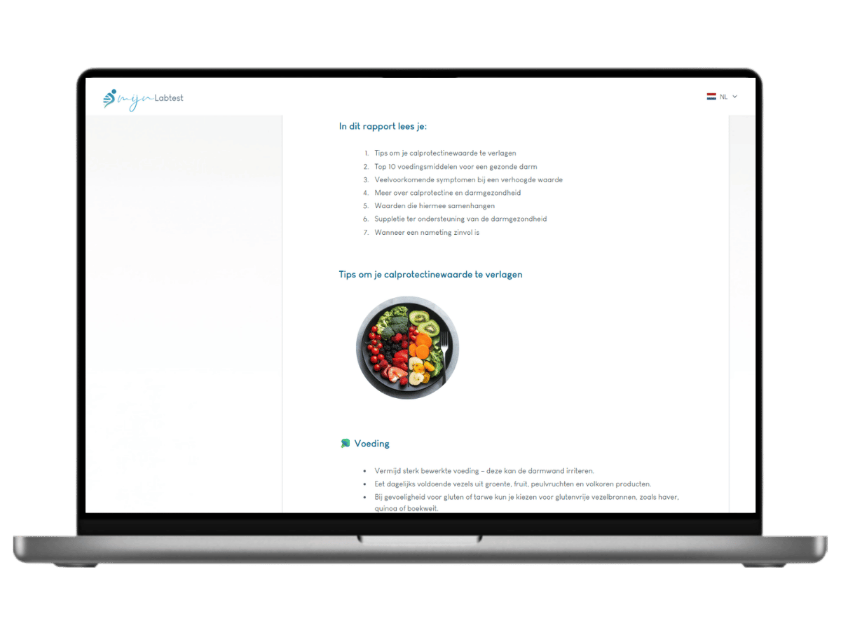 In dit rapport lees je