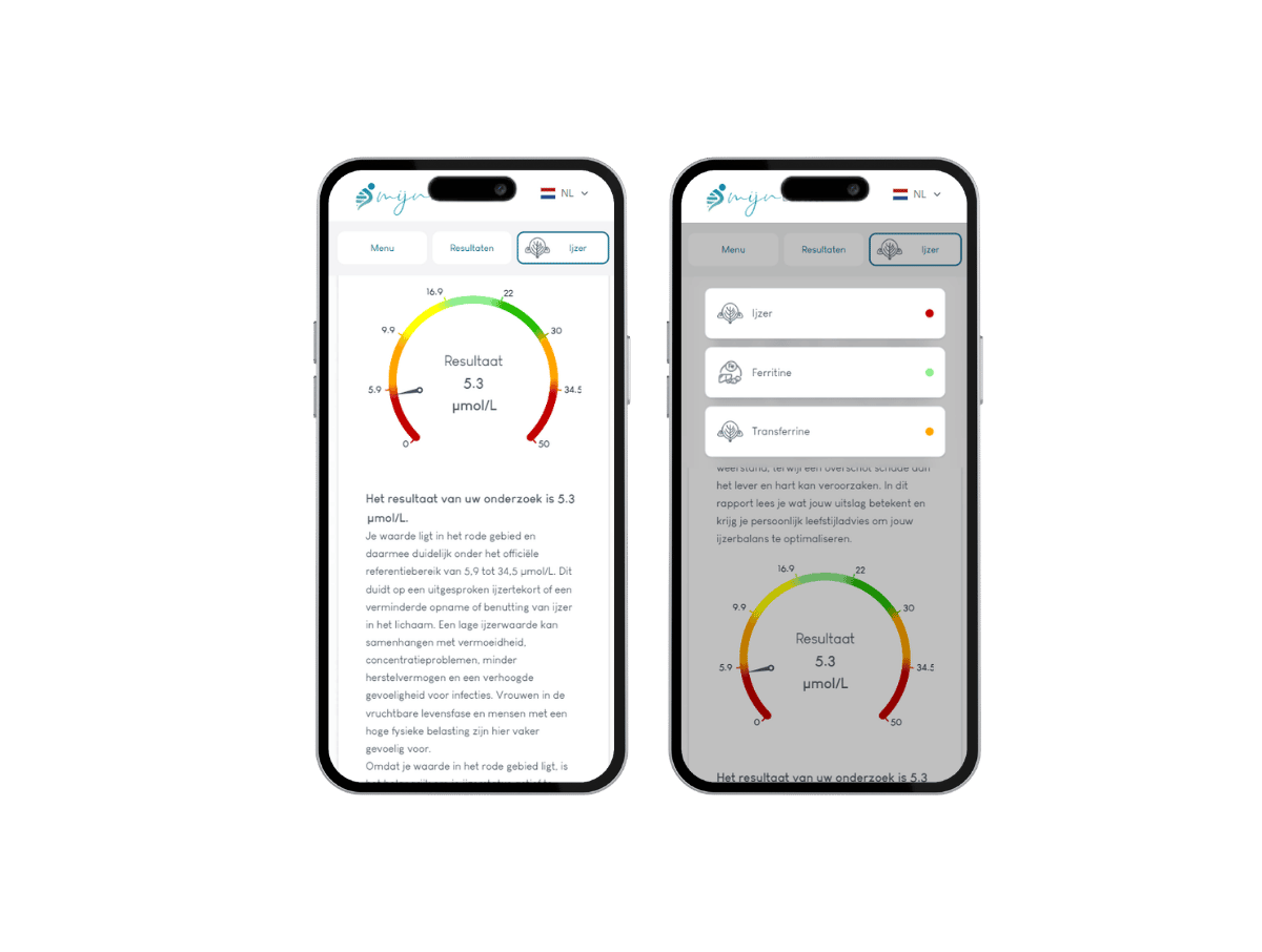 Zo ziet het resultaat van jouw ijzertekort bloedonderzoek eruit. 