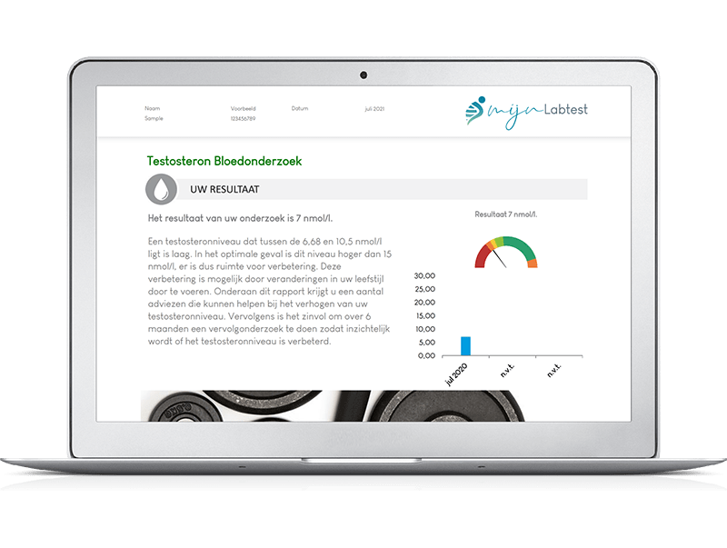 Voorbeeldrapport bloedtest testosteron - Na de test kun je direct aan de slag met uitleg en tips uit het rapport