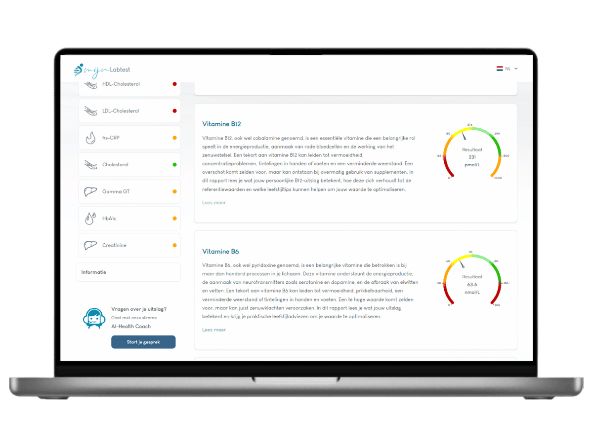Dit is een voorbeeld van jou Vitamine B12 en B6 uitslagen. Super compleet met leefstijl advies. 