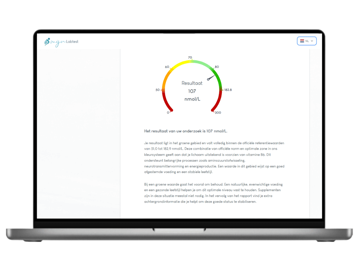 De uitslag van je vitamine B6 test wordt beveiligd naar je verzonden.