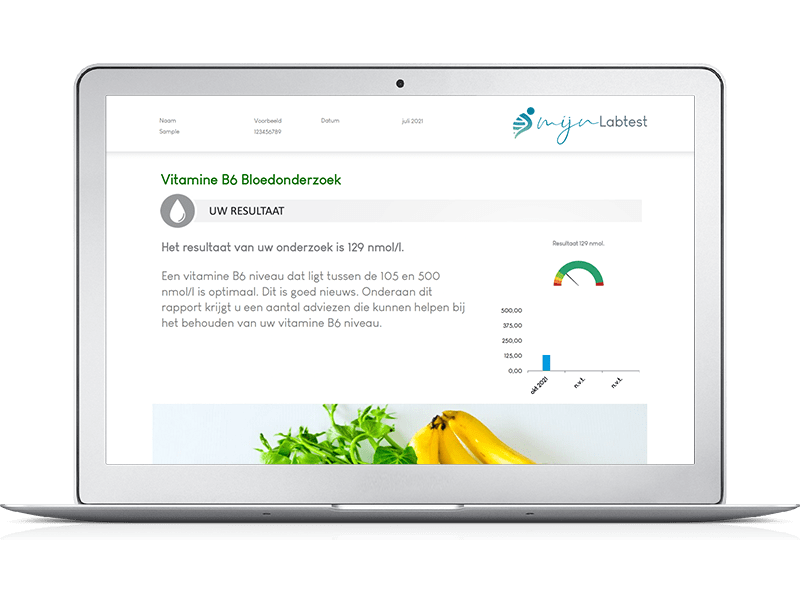 voorbeeld rapport vegetariër profiel bloedtest