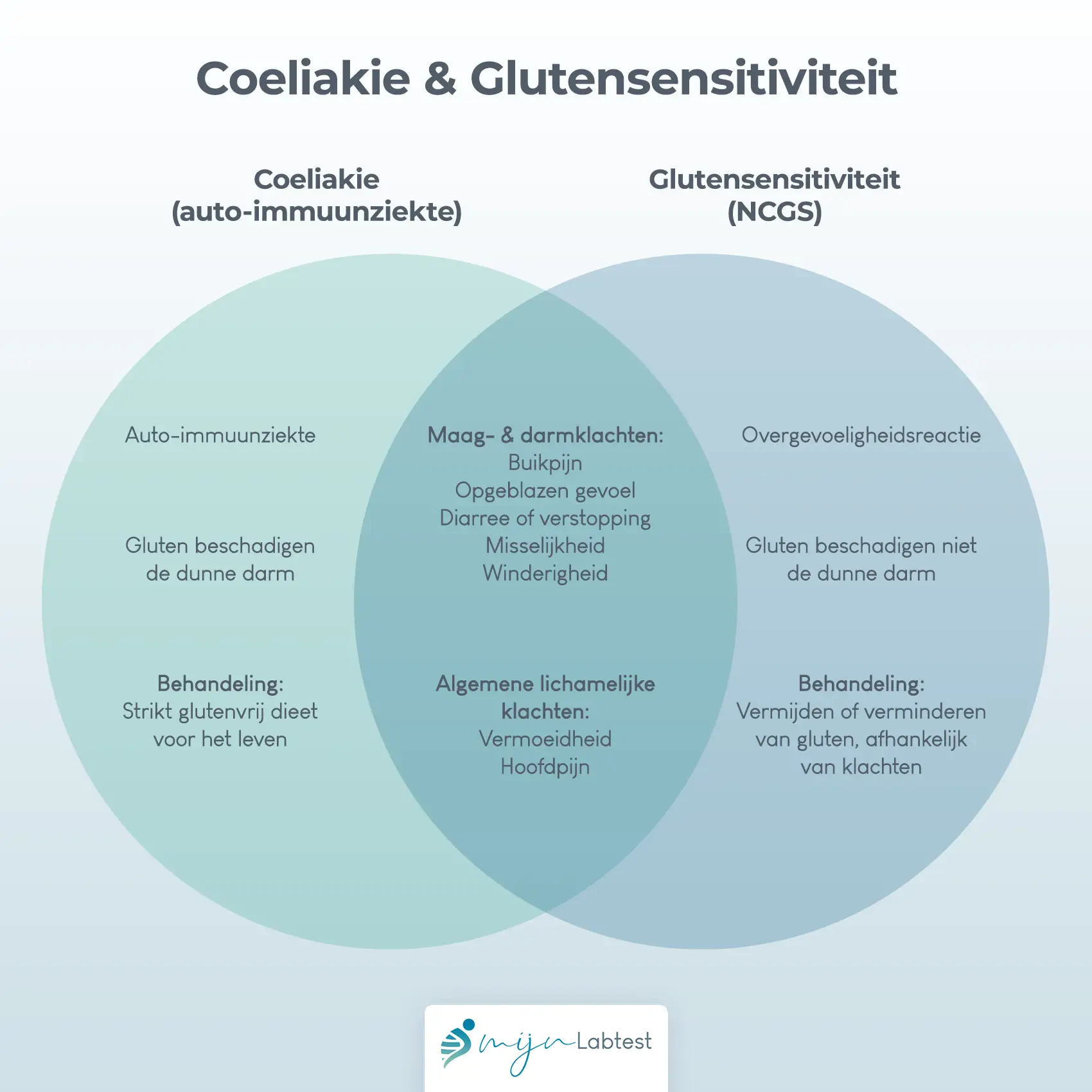 Infographic over glutenintolerantie versus glutengevoeligheid met informatie over de oorzaak, behandeling en overlappende symptomen zoals buikpijn, diarree, winderigheid, vermoeidheid, vermoeidheid en hoofdpijn.
