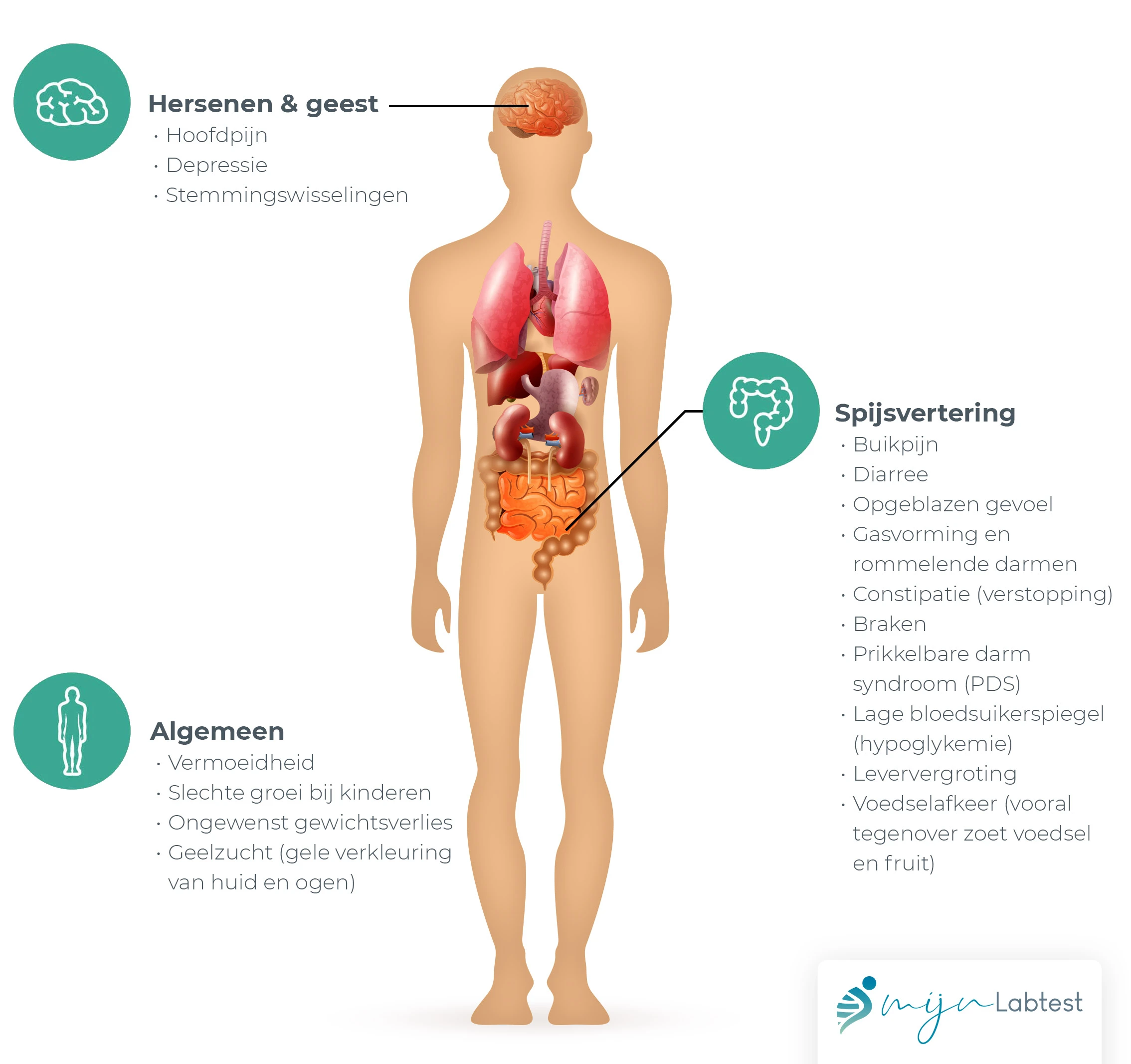 Fructose-intolerantie