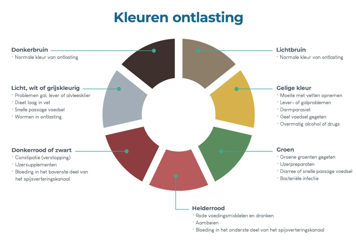 Overzicht van verschillende kleuren ontlasting met uitleg over wat elke kleur betekent en welke kleur ontlasting niet goed is.