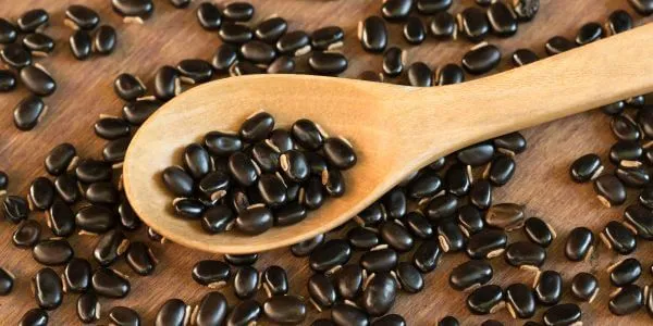 Testosteron verhogen kruiden mucuna pruriens