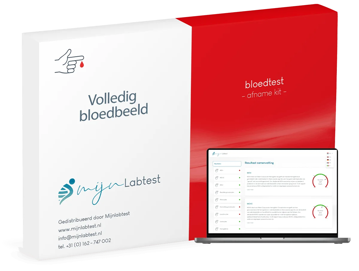 Bloedbeeld groot