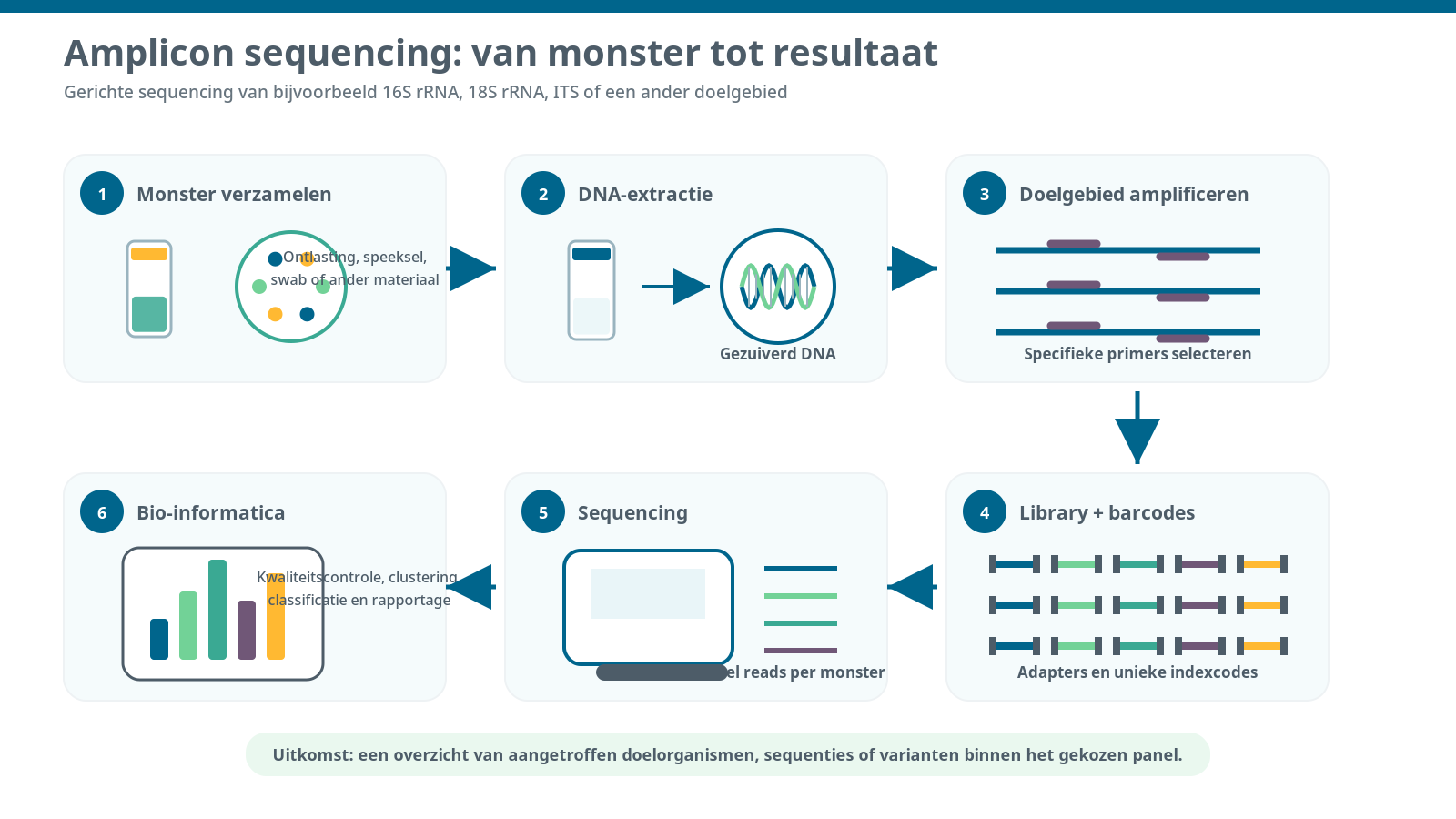 Amplicon sequencing: van monster tot resultaat